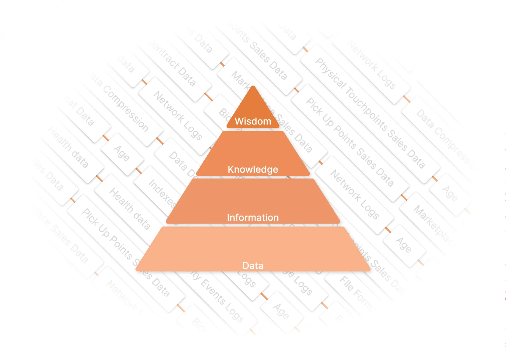 Evolve data into wisdom