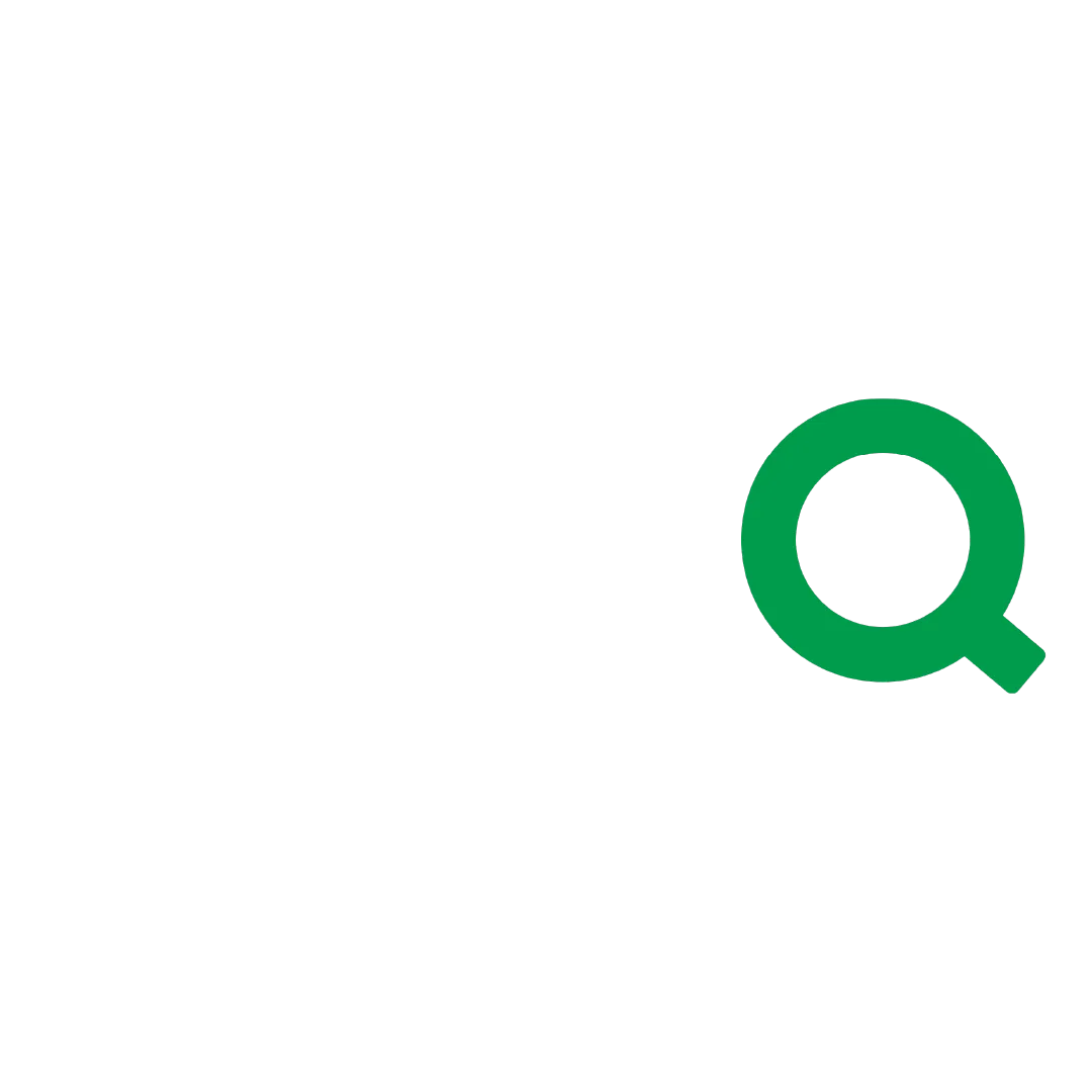 Qlik