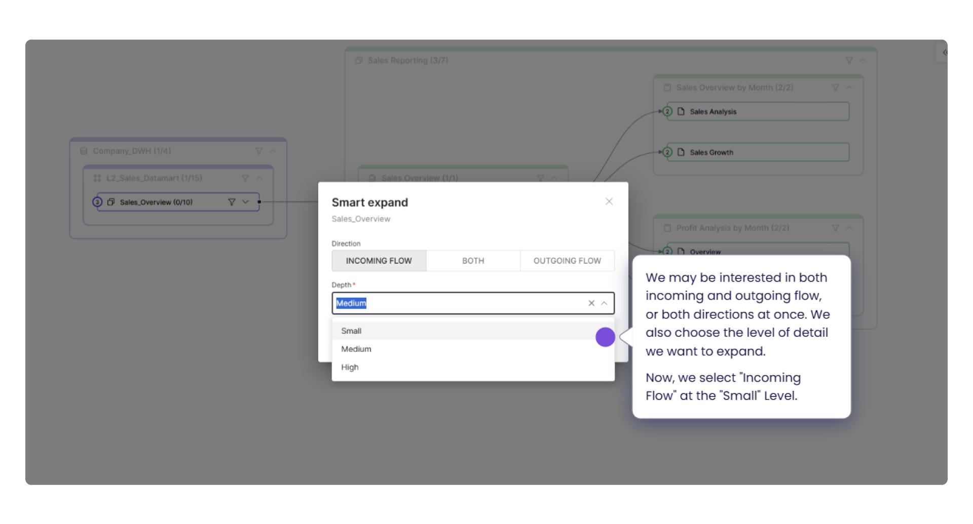 Smart Expand settings panel in Dawiso displaying options to trace data lineage by direction (Incoming Flow, Outgoing Flow, or Both) and depth level, with 'Medium' selected. A tooltip explains how users can customize the level of detail when exploring data relationships.