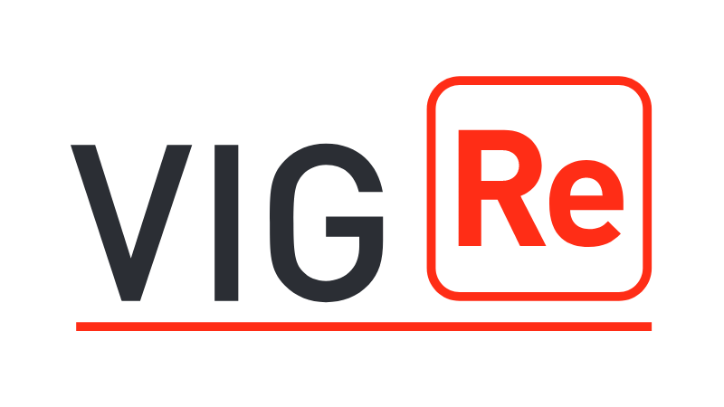 VIG Re logo