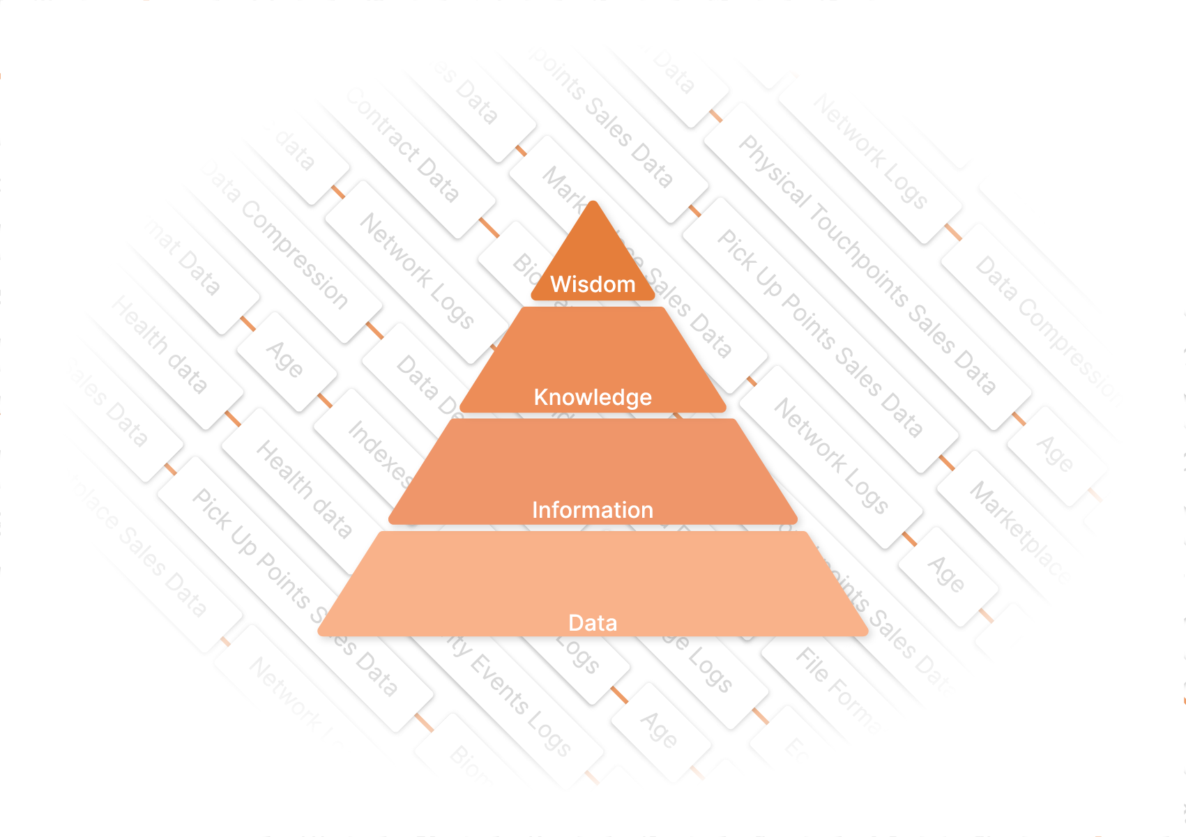Evolve data into wisdom